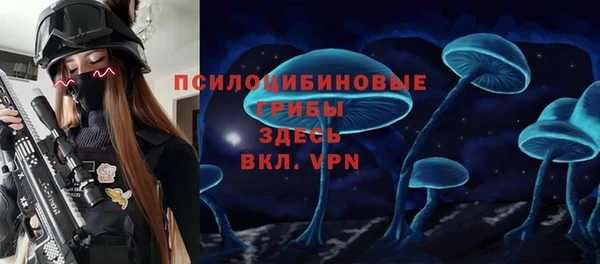 a pvp Белокуриха