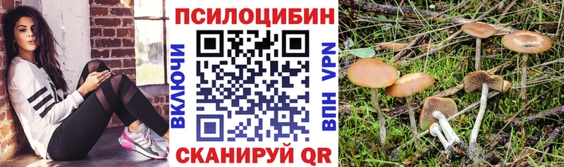Галлюциногенные грибы Magic Shrooms  закладка  ОМГ ОМГ вход  Вельск 